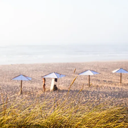 The Beachfront - D'el Rey Golf &